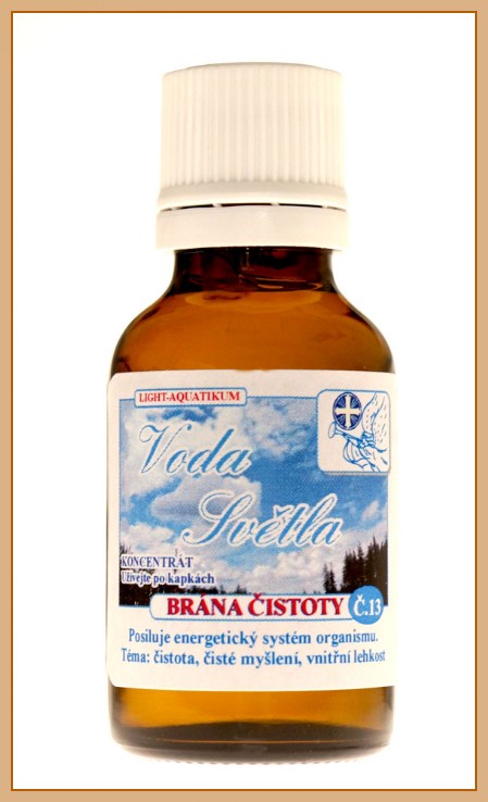 Brána čistoty Brána čistoty